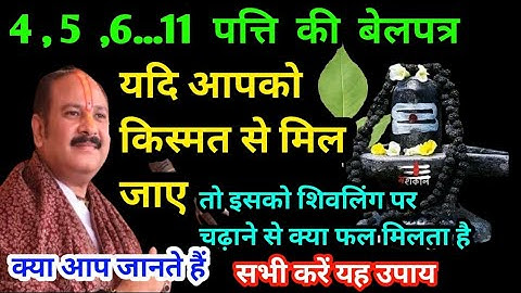सावन के महीने में बेलपत्र से होगी हर मनोकामना पूरी|Pradeep Mishra ji ke upay|Shiv Puran