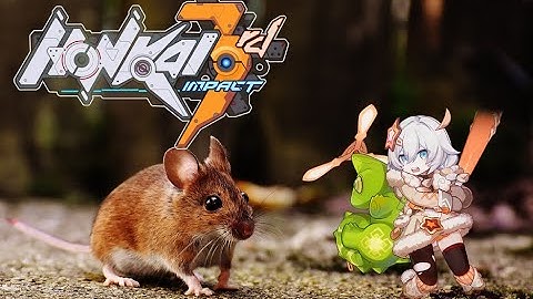 Honkai Impact 3rd, How to use Mouse Control 2024 #honkaiimpact3rd