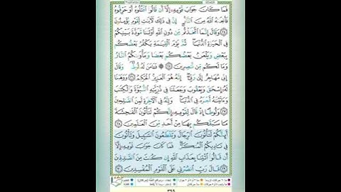 #سورة العنكبوت #تلاوة الشيخ أيمن سويد #الآيات_٢٩_٣٠#قليل دائم خير