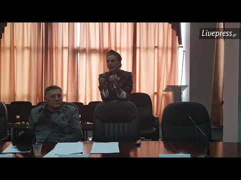 თეონა ქარდავამ საკრებულოში 20 ლარი მოიტანა