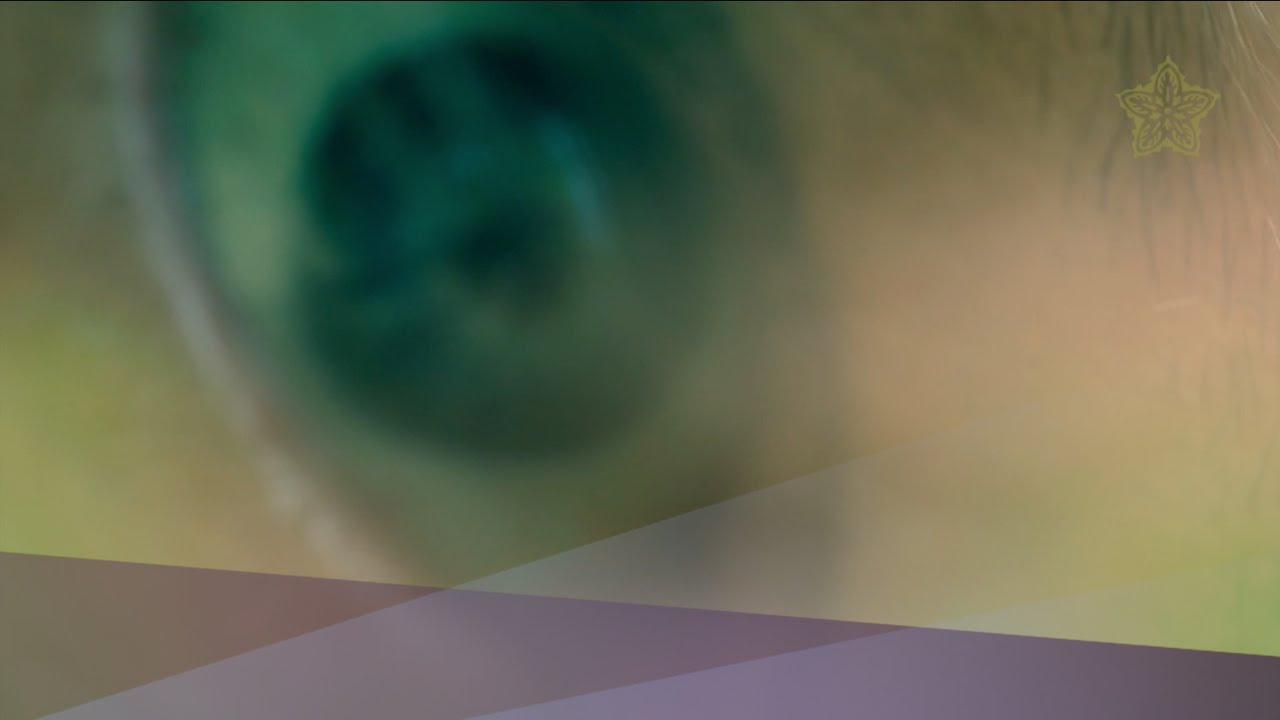 Felicidades Lovecraft : Raymond St-Jean