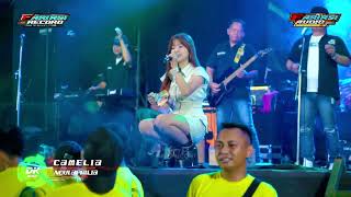 NOVI APRILIA - CAMELIA || DK MUSIK LIVE HALAL BIHALAL PEMUDA RR DS BUKUR KEC. BOJONG PEKALONGAN