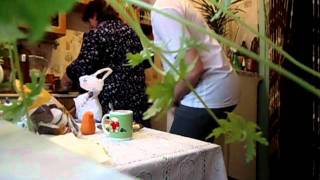 Видео Феликс Цветочкин. Воспитательное значение. (автор: RassosSuper)