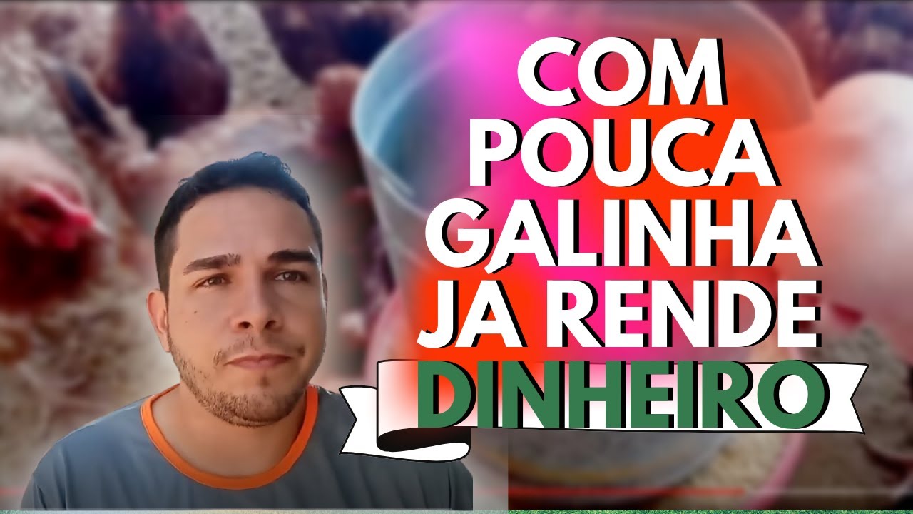 Com 10 GALINHAS VOCÊ JÁ VÊ A diferença em SEU BOLSO, entenda melhor ASSITINDO esse VIDEO! #granja Com 10 GALINHAS VOCÊ JÁ VÊ A diferença em SEU BOLSO, entenda melhor ASSITINDO esse VIDEO! #granja