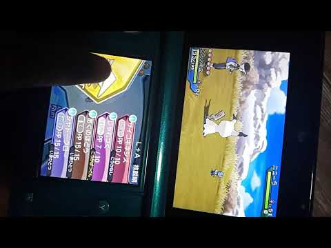【ポケモン】ミミッキュＺのミミッキュが可愛すぎた【USUM】