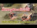 รถแข่ง รุ่น เที่ยวป่า โอเพ่น ทีม Monkey Race ลิงบินได้ รายการ  KHAO NOI OFFROAD CHALLENGE 2024