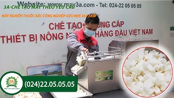 Máy cắt hạt lựu công nghiệp|Máy thái cùi bưởi, khoai lang, cà rốt, củ cải hạt lựu 3A370W