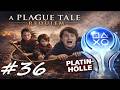 A Plague Tale: Requiem (Platin Run) - Der Fluch der Macula | Amicias Kampf um Hugo | 🔴 Live | #36