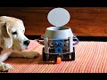 Arduino and Raspberry Pi Powered Pet Monitoring Robot