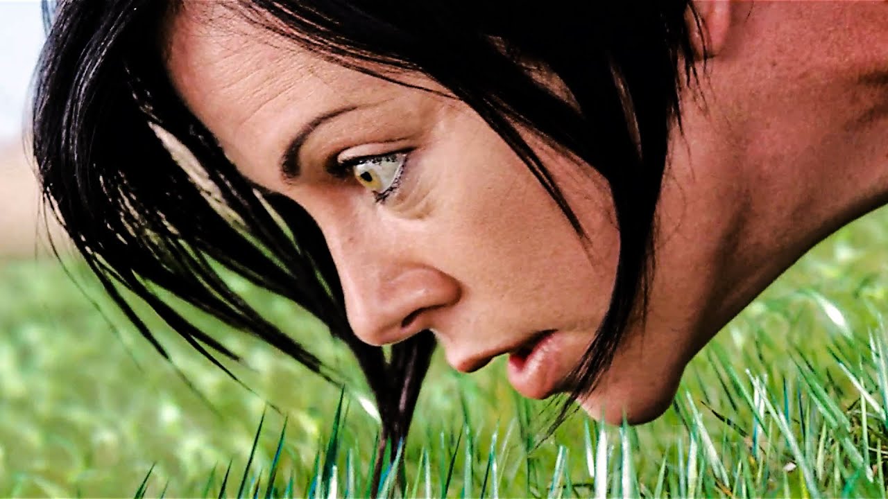 The Bladed Grass Scene
