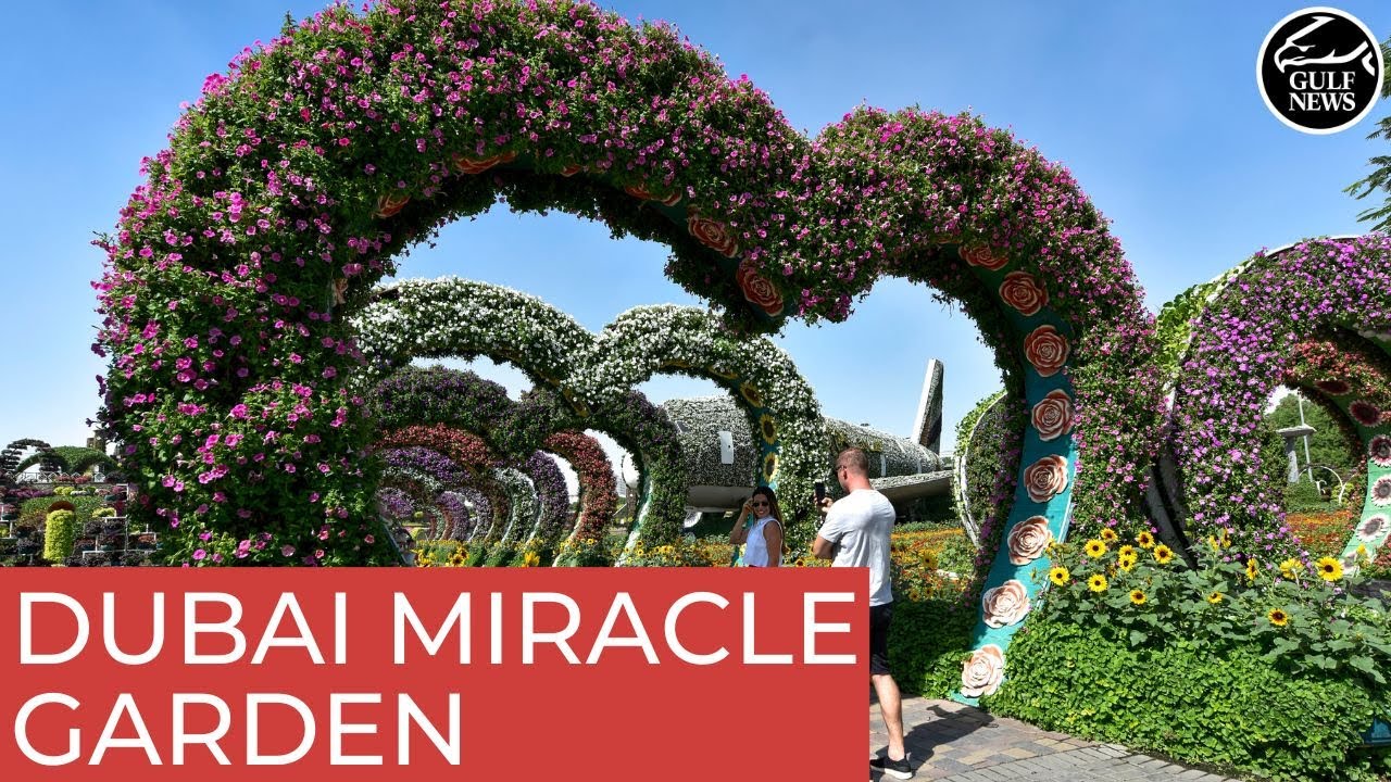 Dubai Miracle Garden Inside The World