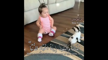 المال والبنون زينة الحياة الدنيا🌸 حالات واتساب دينية - ستوريات قرآن كريم🌸 مقاطع انستغرام دينية قصيرة