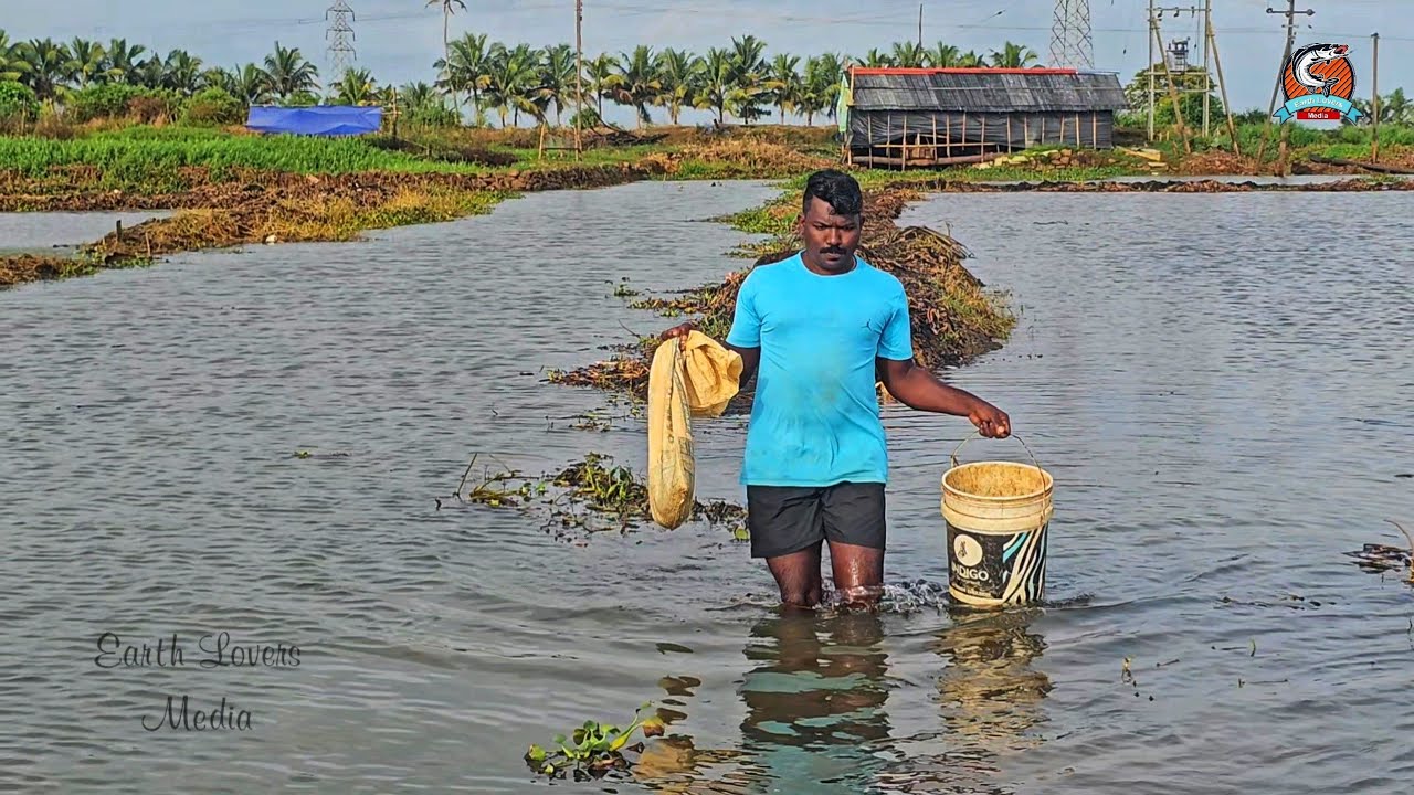 രാവിലെതന്നെ ഒരു തച്ചിനുള്ള പണി ചെയ്തു |കാരി, വരാൽ പിന്നെ നീർക്കോലി 