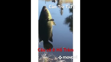 Câu Cá Ở Hồ Tràm | Vũng Tàu #fishing