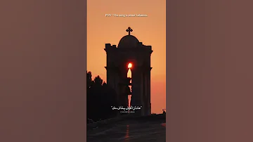 يا أسد واقف بشجاعتك Chahinda Youtubeshorts 