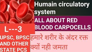 Rbc for upsc | Red blood cells | Humain circulatory system