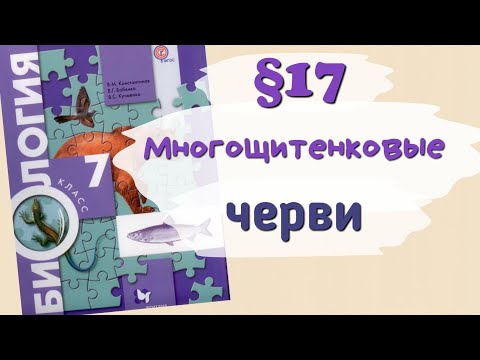 Краткий пересказ §17 Тип Кольчатые черви. Класс Многощетинковые черви. Биология 7 класс Константинов