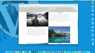 Site launch, XML Sitemap & SEO Fundamentals