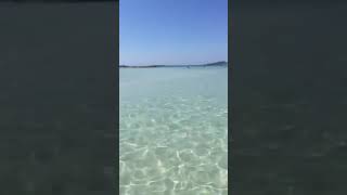 Bite from Elafonisi beach Crete Greece ???