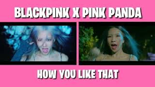Download Lagu BLACKPINK X PINK PANDA (MV HOW YOU LIKE THAT) MIRIP BANGET PARAH👍 MP3