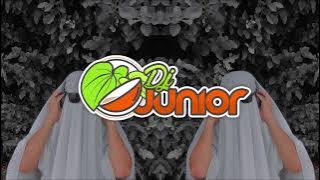 DJ Junior - Subrosa (Come Closer) Jive Rmx 2024