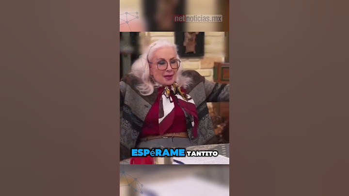 Laura Zapata llama “indita” a Claudia Sheinbaum por viajar en avión comercial a la reunión del G7