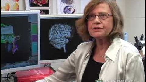 Obsessive-compulsive disorder and deep brain stimulation