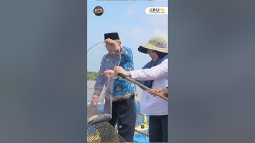 Panen Ikan  Wisata Keramba Jaring Apung (KJA) Sungailiat Program KOTAKU #shorts