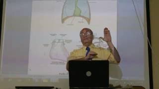 CVS module 1 External surface of heart part 1 by Dr Wa an