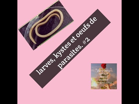 larves, kystes et oeufs de parasites dans les selles #2