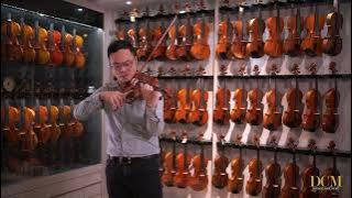 JxT WY-300 Violin