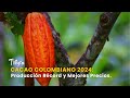 Cacao Colombiano 2024: Producción Récord y Mejores Precios - TvAgro por Juan Gonzalo Angel