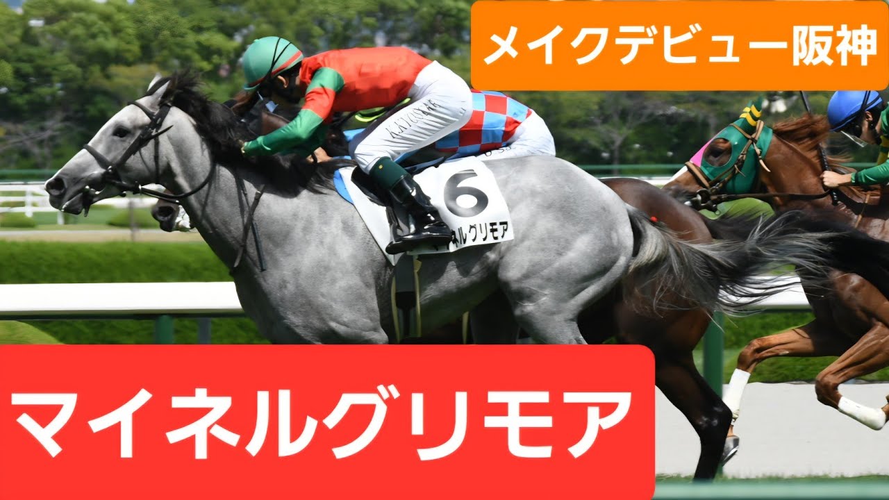 現地映像】2026年メイクデビュー阪神（2歳新馬）優勝馬マイネル