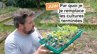 Que semer et planter en juin pour remplacer les cultures terminées 『séance jardinage』