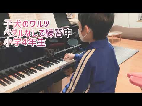 子犬のワルツ/ショパン-ペダルなしで練習中(小学4年生)