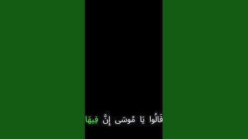 سورة المائدة و..كا.نك تسمعها لأ،.و.ل مر.ة💟💛؛🏵️،؛💘🌸🌼💕بصوت الشيخ حمزة مد؛بو.ح 🏵️💔..❣️💜،؛💙💓🌻
