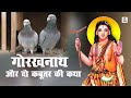 गोरखनाथ और दो कबूतर की कथा || गोरखनाथ का चमत्कार || गोरखनाथ की डब्बी || Latest Short Film 2020