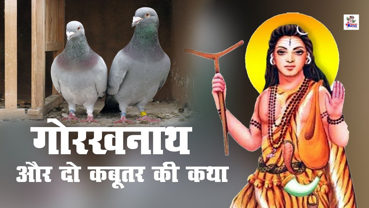गोरखनाथ और दो कबूतर की कथा || गोरखनाथ का चमत्कार || गोरखनाथ की डब्बी ||  Latest Short Film 2020 - YouTube