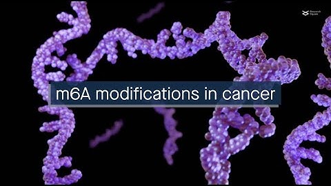 Influences of m6A modifications in cancer