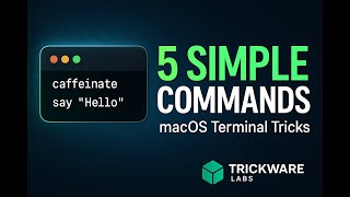 5 Simple macOS Terminal Commands Anyone Can Use