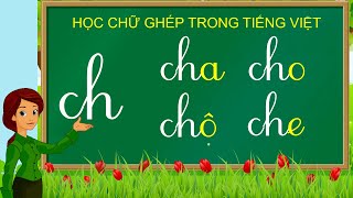 Thanh nấm - Học chữ ghép tiếng việt mới nhất, học đánh vần và ghép vần với chữ ch (a, o, ô, e, ê, u)