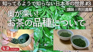 【知ってるようで知らない日本茶の世界】#3 奥が深い！お茶の品種について【日本の文化】