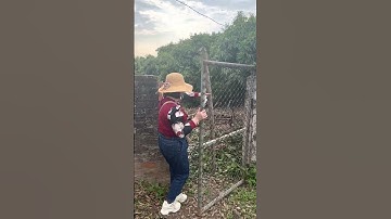 bds tân quang, lục ngạn, bắc giang(1)