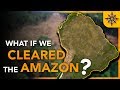 What If We CLEARED the Amazon?