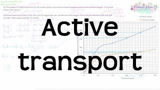 Active Transport | Grade 9 Exam Question Walkthrough | Revision for GCSE Biology