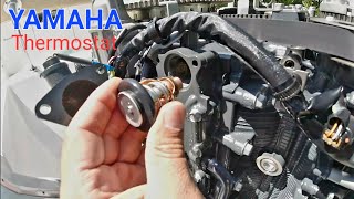 DIY Replacing Thermostat for Yamaha 150 175 200 HP Outboard Motor