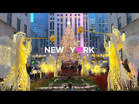 Video: Udestående New York City Prix Fixe Restaurant-frokoster