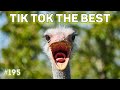 Tik Tok The Best #195 | Лучшие видео Тик Ток | Приколы май 2022