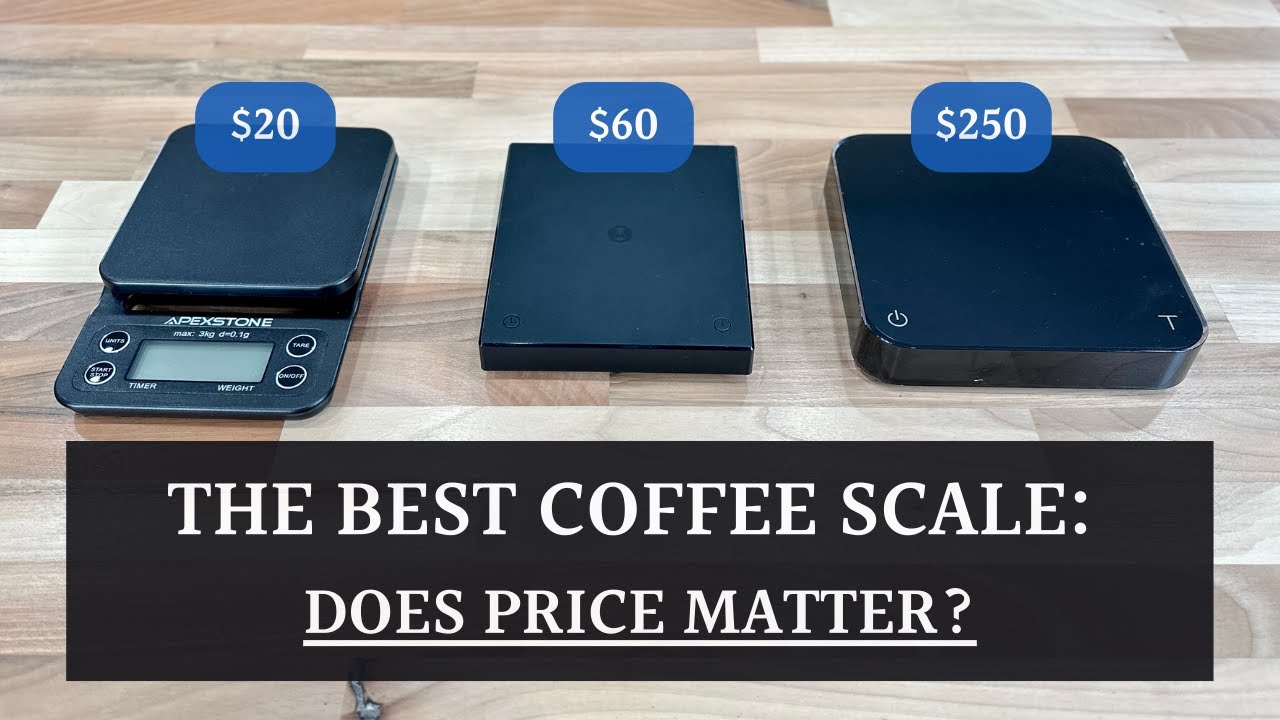 Best Coffee Scale Face Off Does Price Even Matter TimeMore vs Acaia vs Apexstone