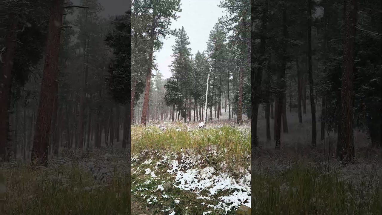 First snow of the year, no Kayaking today